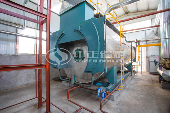 10噸 WNS 冷凝式燃?xì)庹羝仩t項目