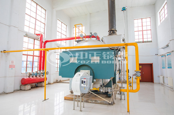 6噸WNS冷凝式燃?xì)庹羝仩t項(xiàng)目