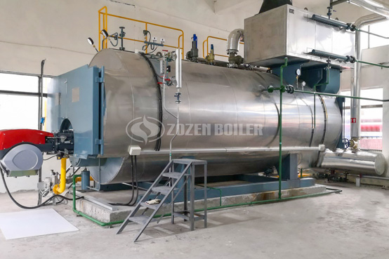 8噸WNS系列冷凝式燃?xì)忮仩t項目