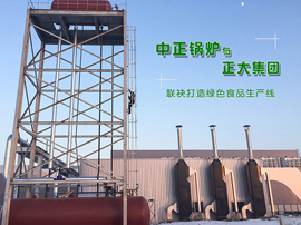 中正燃氣導熱油鍋爐全力助陣正大集團打造綠色食品生產(chǎn)線
