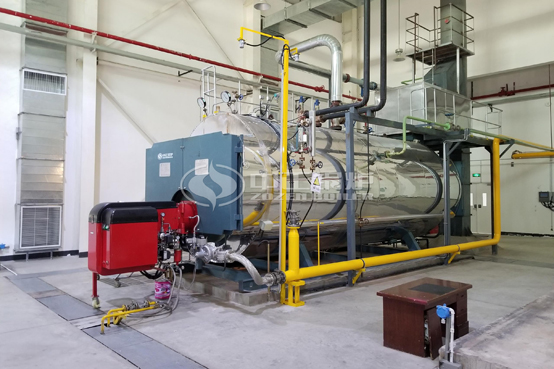 農(nóng)夫山泉果業(yè)10噸WNS系列天然氣蒸汽鍋爐項(xiàng)目